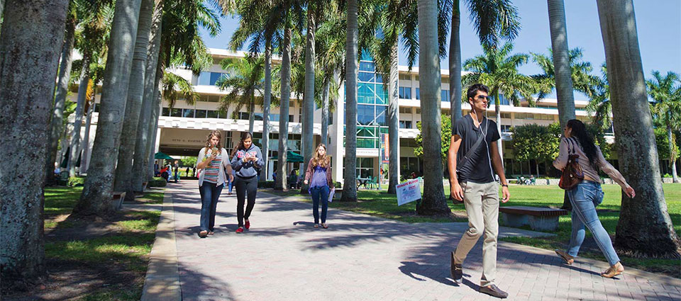 university of miami library name